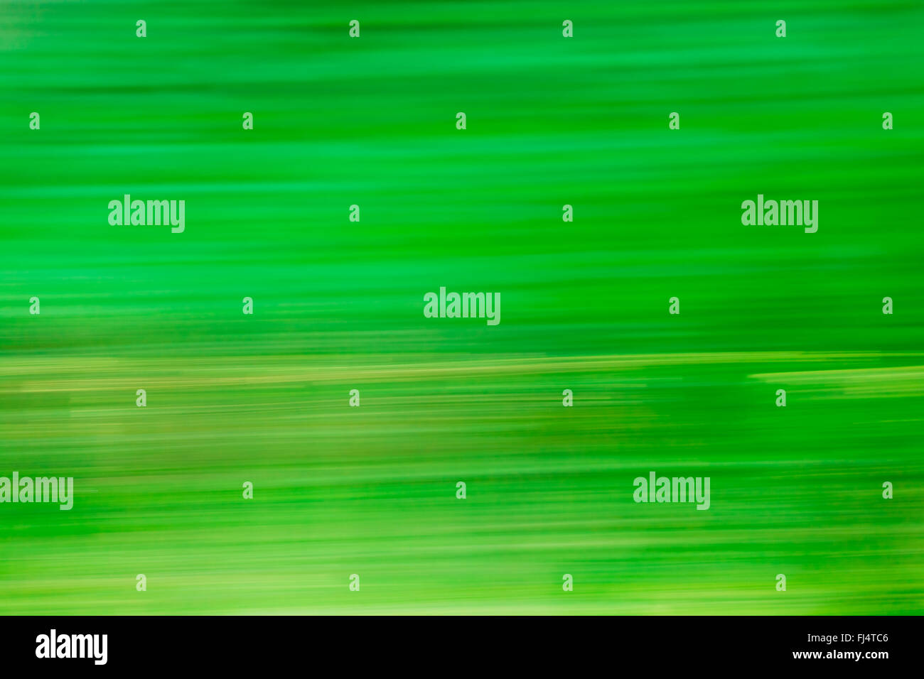 Abstract Natural Green Motions Blur Background. Stock Photo