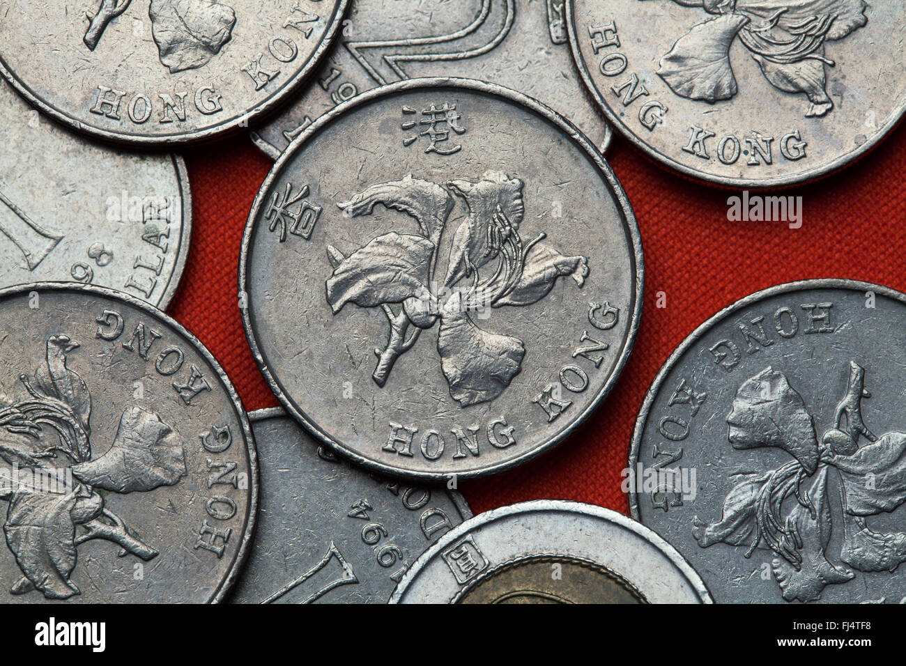 Coins of Hong Kong. Flowers of bauhinia blakeana also known as Hong Kong orchid depicted in the Hong Kong dollar coins. Stock Photo