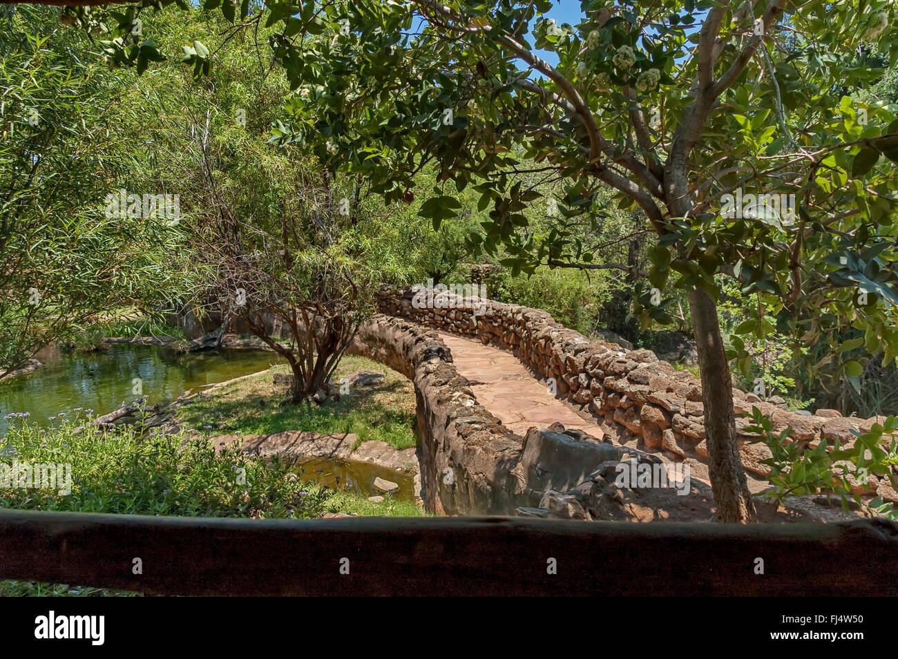 Walk To Crocodile In Kwena Gardens In Sun City South Africa Stock
