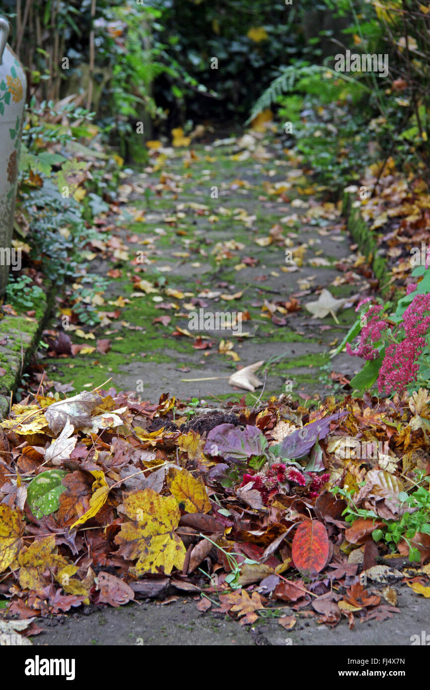 heap of leaves on a garden path, Germany Stock Photo