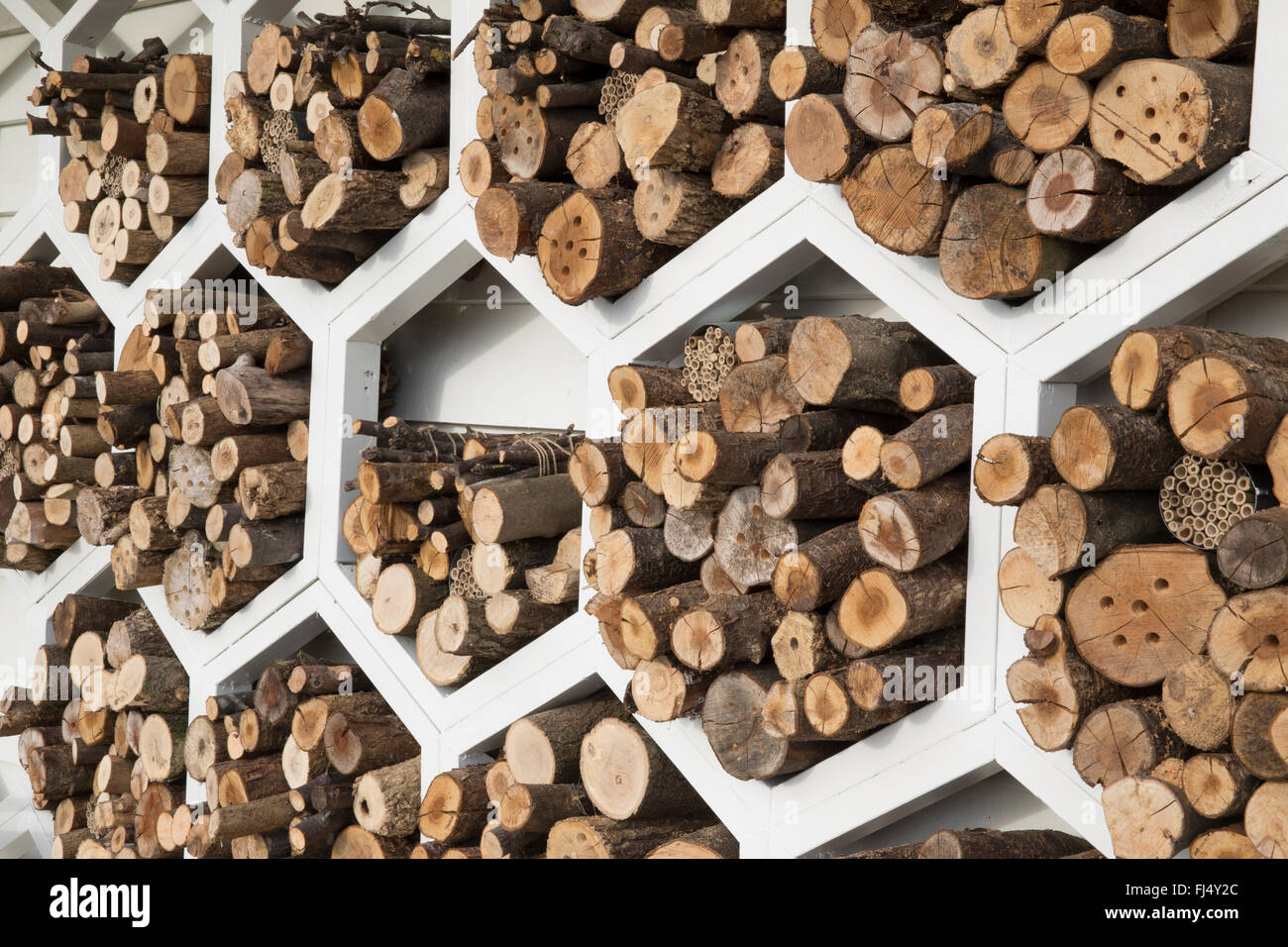 wildlife friendly garden for pollinators A hexagonal wood store storage for solitary bee bees insect insects bugs motel hotel UK Stock Photo