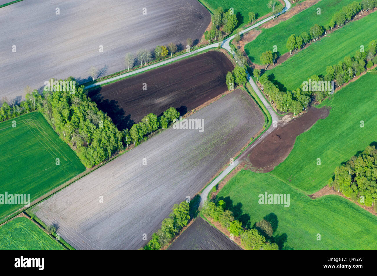 cultural landscape at Suedlohne, aerial view, Germany, Lower Saxony, Oldenburger Muensterland, Lohne Stock Photo
