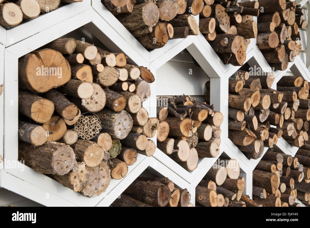 wildlife friendly garden for pollinators A hexagonal wood store storage for solitary bee bees insect insects bugs motel hotel UK Stock Photo