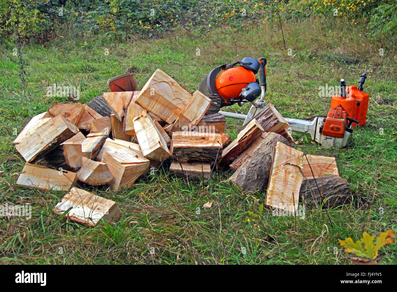 logs and forestry tools, Germany Stock Photo
