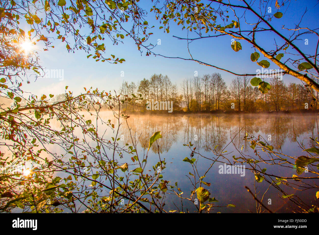 midday sun over a pond in autumn, Germany, Bavaria, Niederbayern, Lower Bavaria, Atting Stock Photo