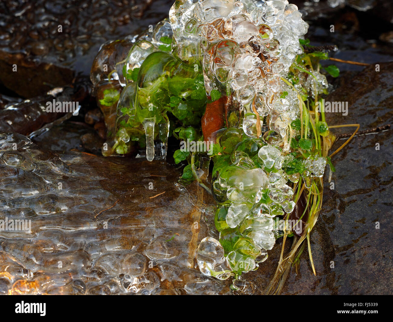 Brook Using Ice Frozen brook with ice structures hi-res stock photography and images ...