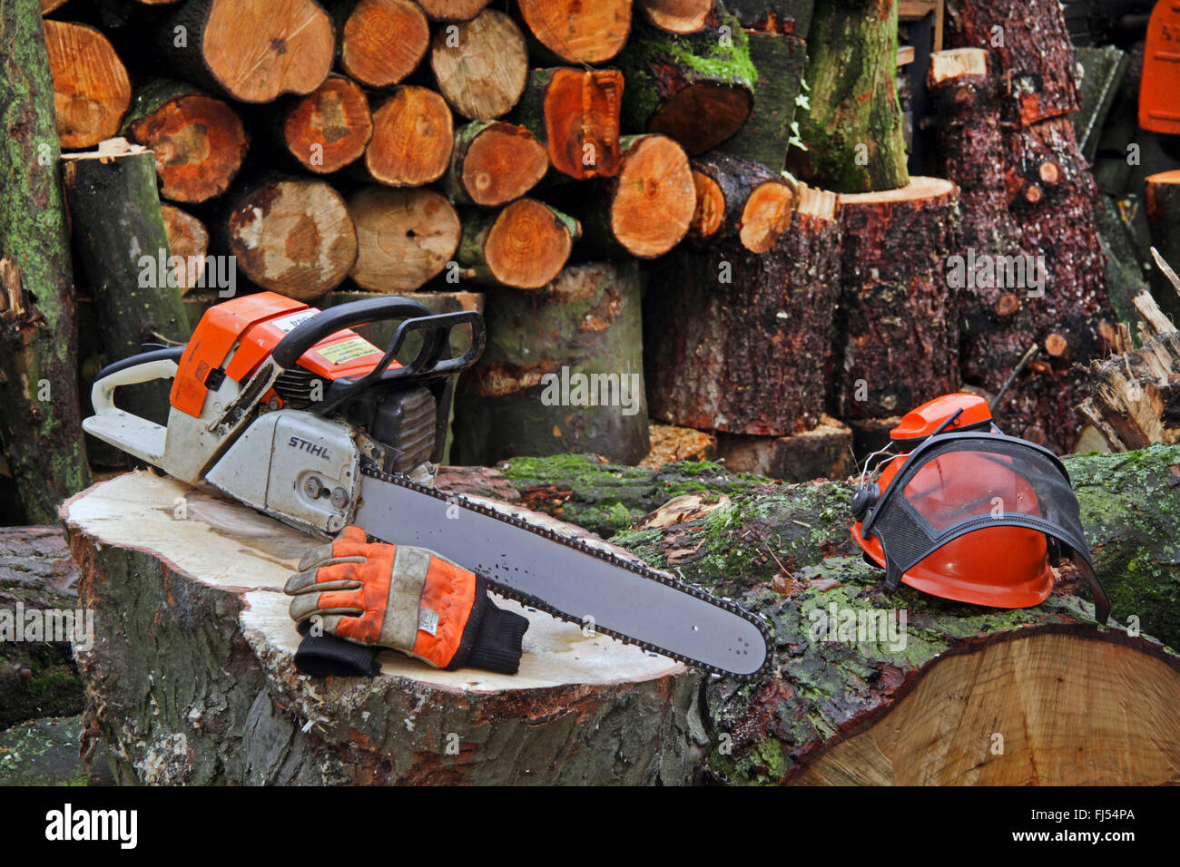 motor saw and helmet on logs, Germany Stock Photo