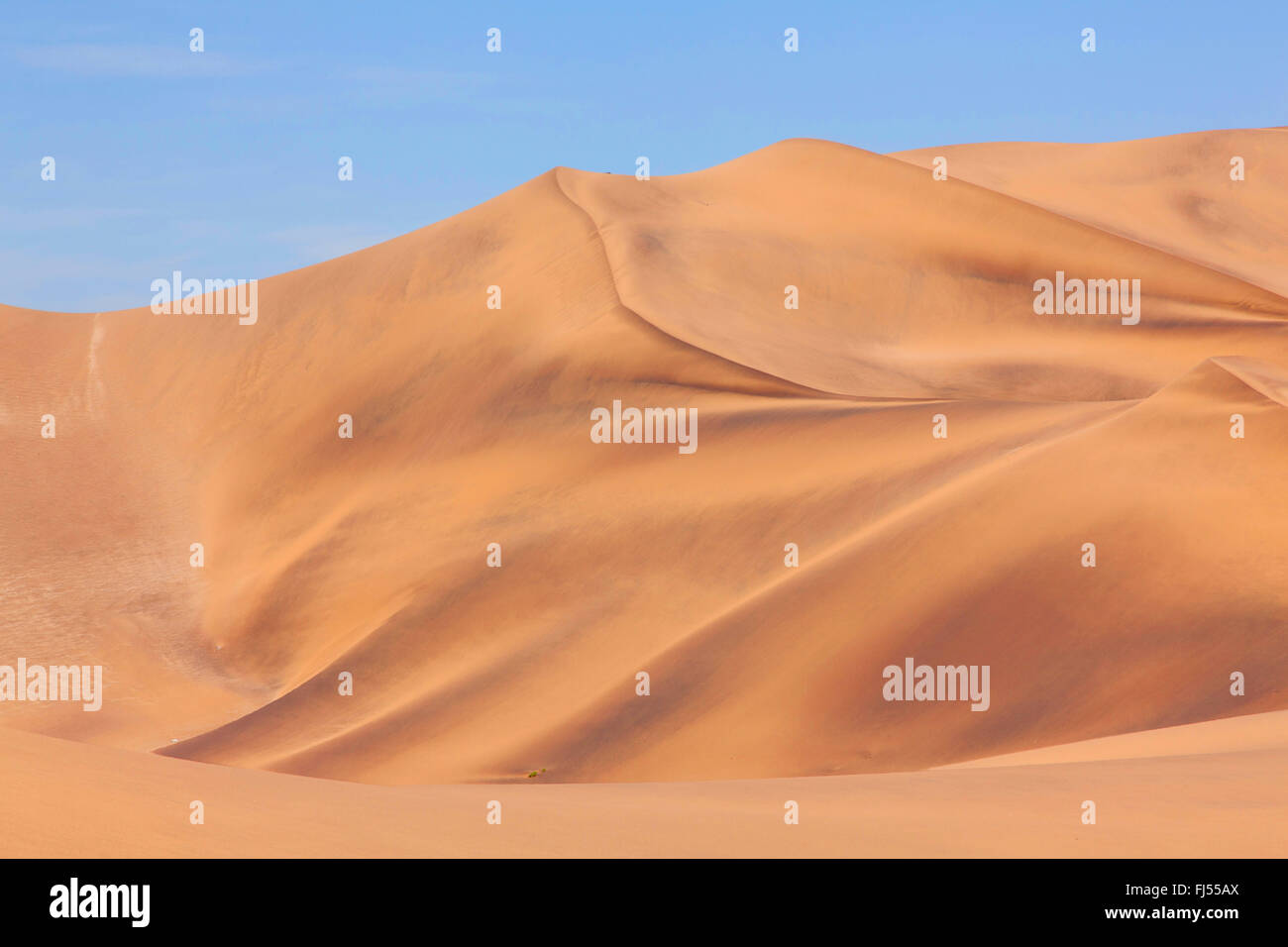 yellow-brown ore-bearing shifting sand dune near Swakopmund and blue sky, Namibia, Dorob National Park, Swakopmund Stock Photo