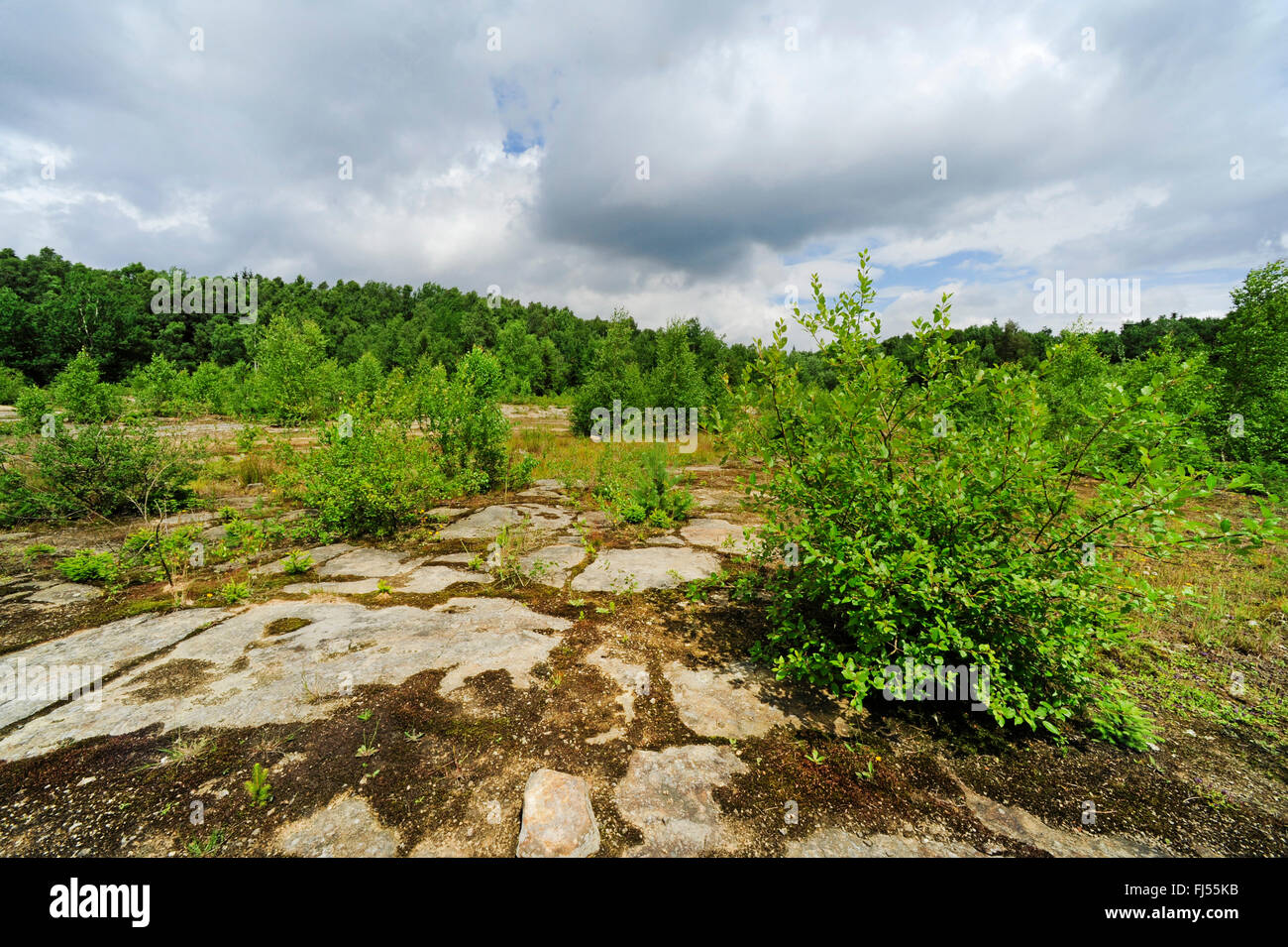 closed area of the stone pit Obernkirchen, Germany, Lower Saxony, Obernkirchener Sandsteinbruch Stock Photo
