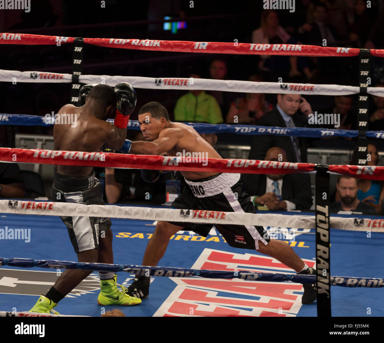 New York, NY USA - February 27, 2016: Emanuel Taylor (black trunks) fights Wilfredo Acuna of Nucaragua in professional boxing match in Super Lightweight category at Madison Square Garden Stock Photo