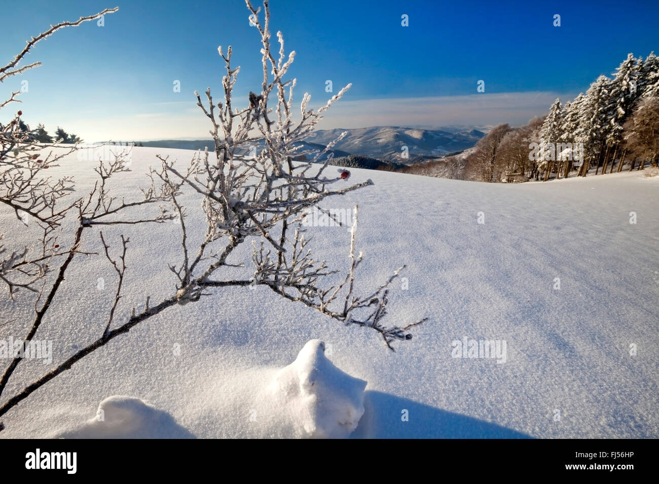 Wildewiese winter scenery, Germany, North Rhine-Westphalia, Sauerland, Sundern Stock Photo