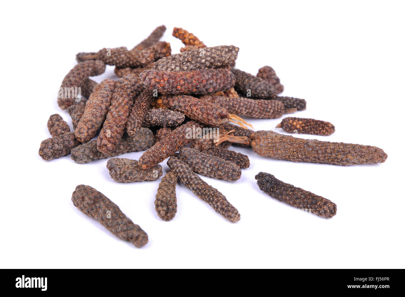 Long pepper peppers hi res stock photography and images Alamy