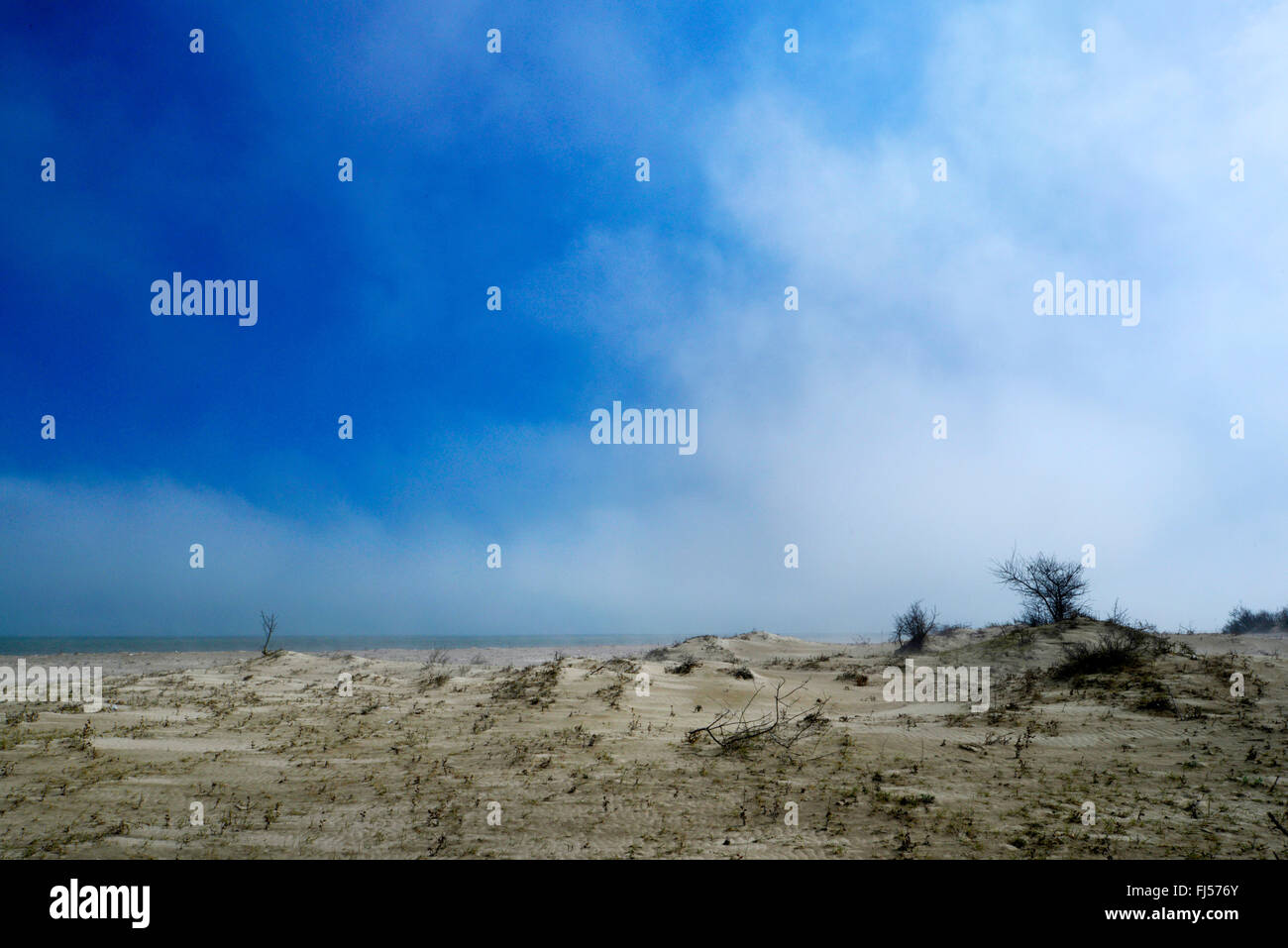 waft of mist over the dune landscape at the coast of the Black Sea, Romania, Dobrudscha, Biosphaerenreservat Donaudelta, SfÔntu Gheorgh Stock Photo