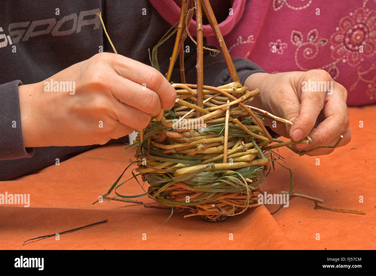 nesting material for ball nest, two children braiding willow branches, Germany Stock Photo
