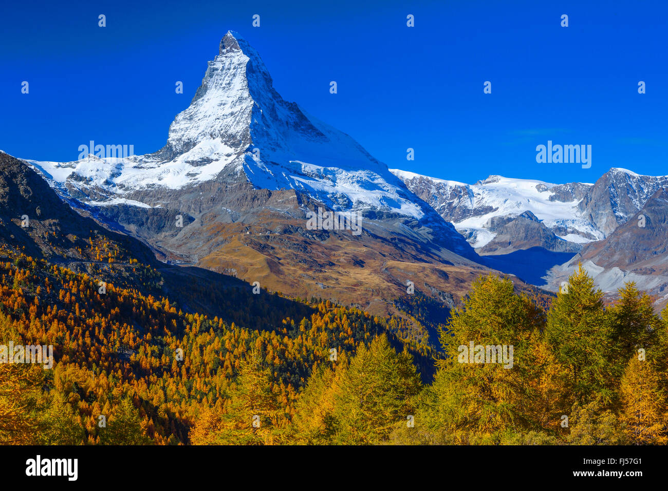 Matterhorn and larches in autumn, Switzerland, Valais Stock Photo