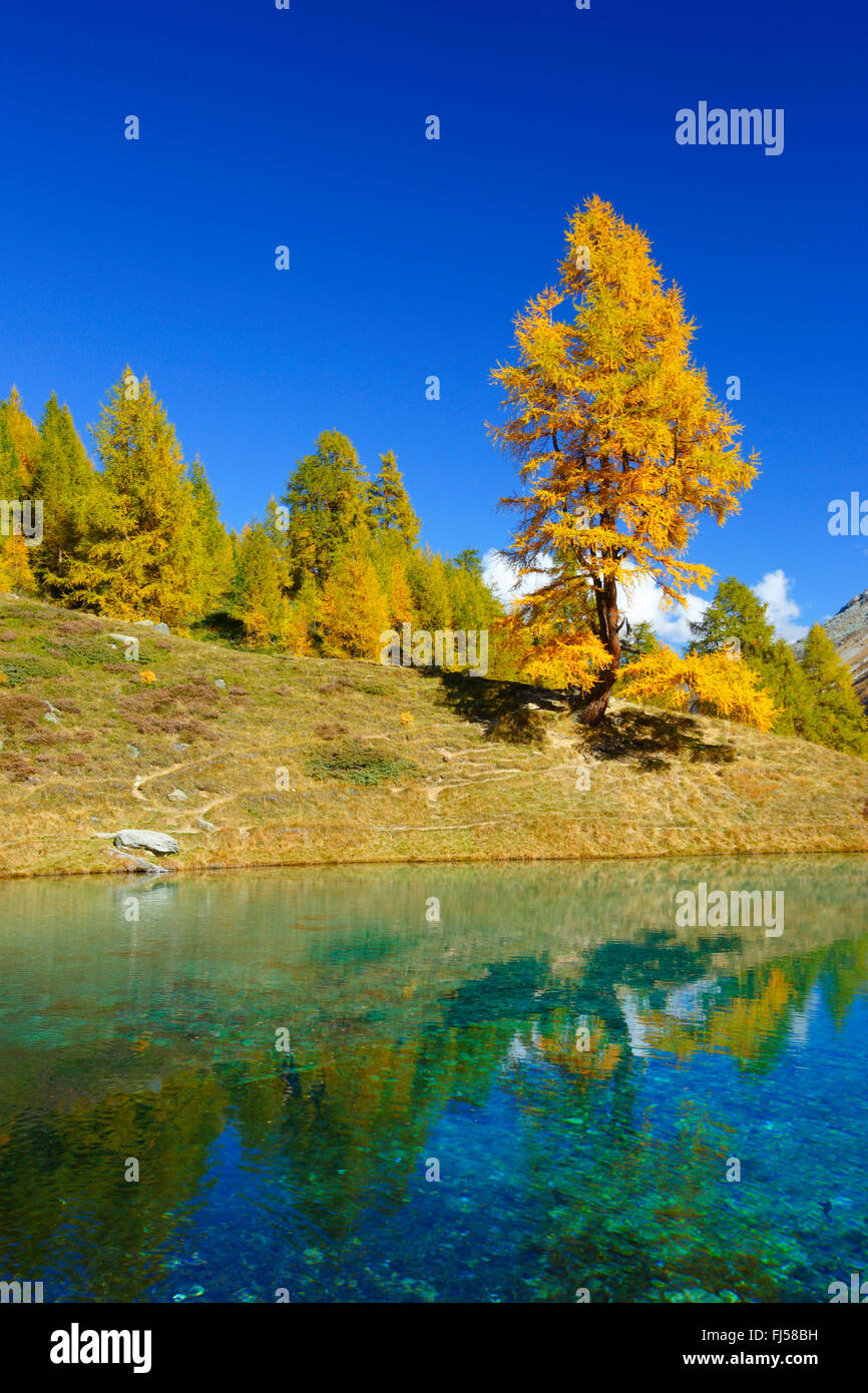 Lac Bleu, Dent de Perroc, Wallis, Switzerland Stock Photo