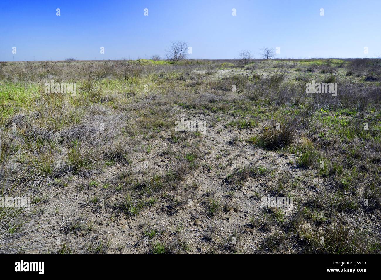 Shrub Steppes Hi Res Stock Photography And Images Alamy