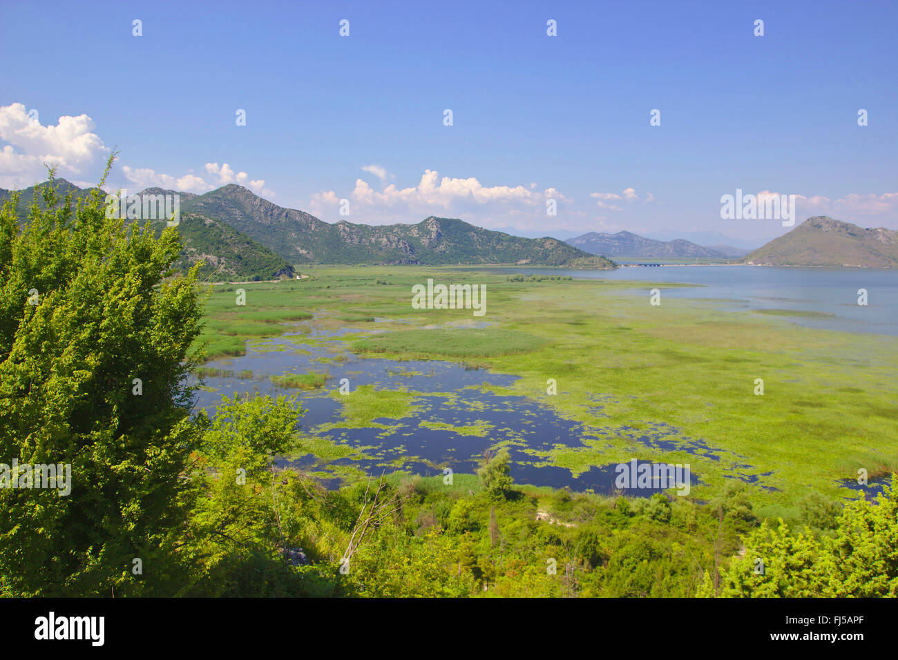 Lake Skadar, Montenegro, Virpazar Stock Photo