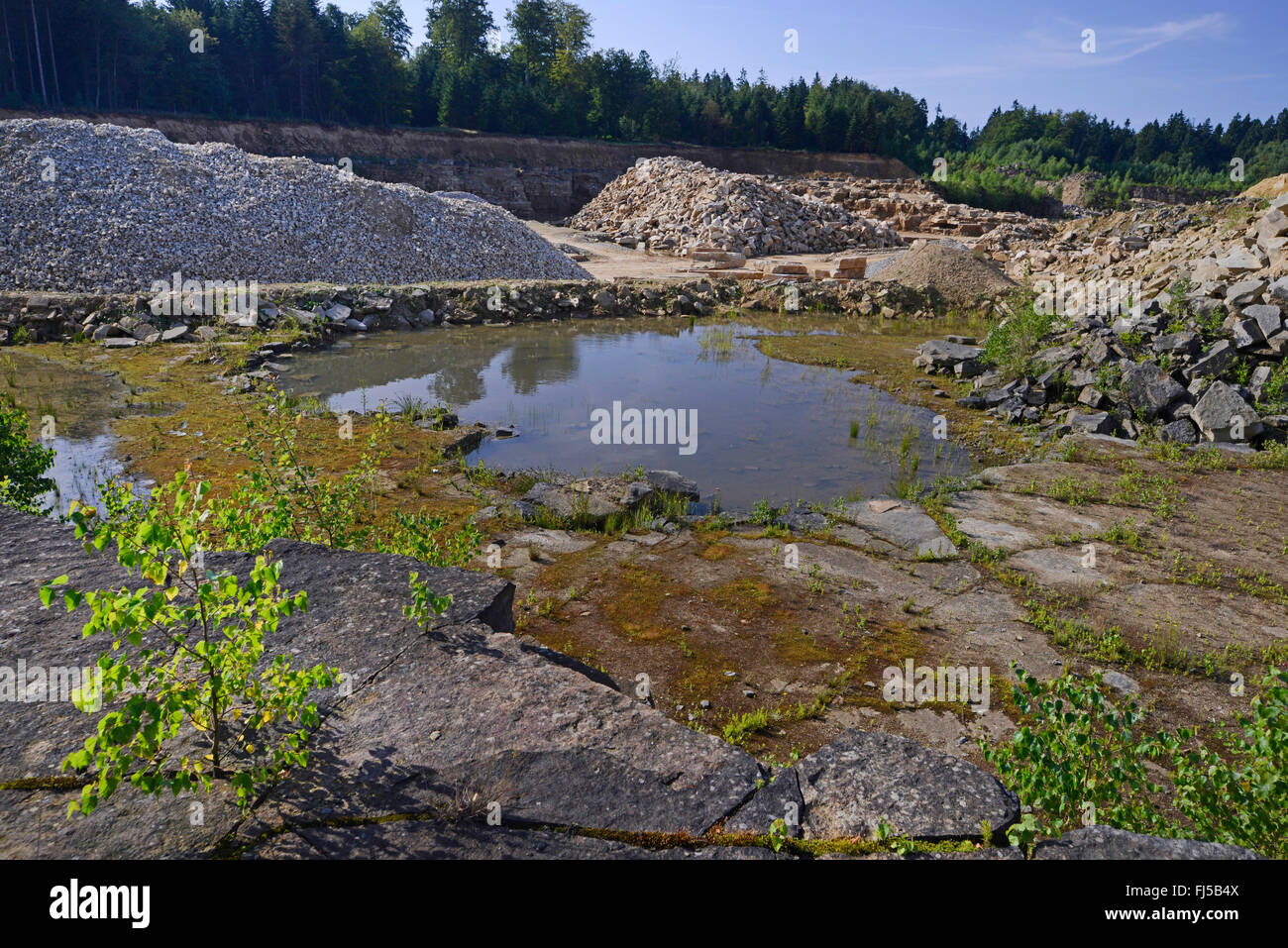 pond and stone heaps in a quarry, Germany, Lower Saxony, Obernkirchener Sandsteinbrueche, Obernkirchen Stock Photo