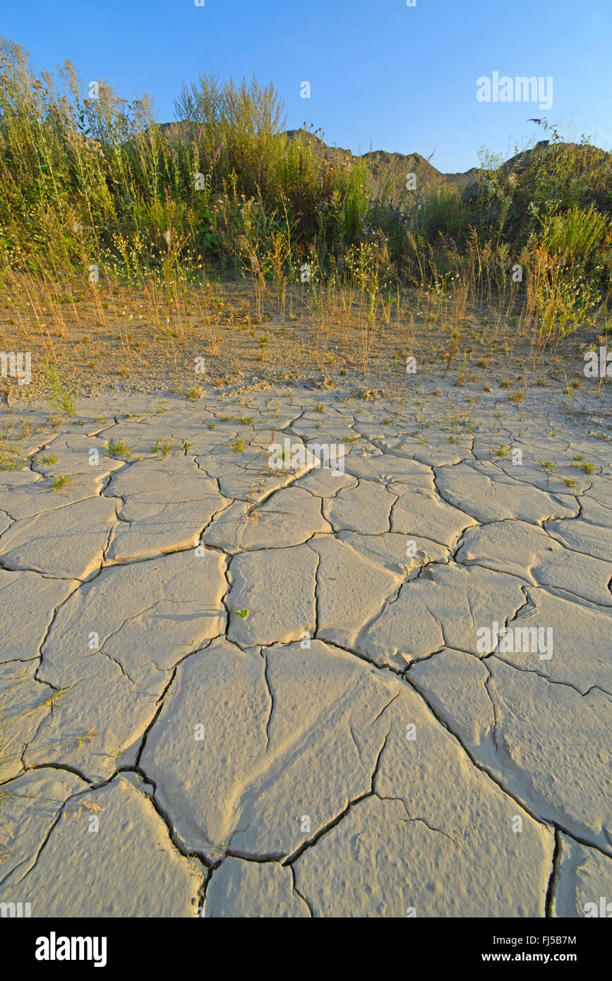 dried mud pond in lime quarry, Germany, Bergisches Land, Steinbruch
