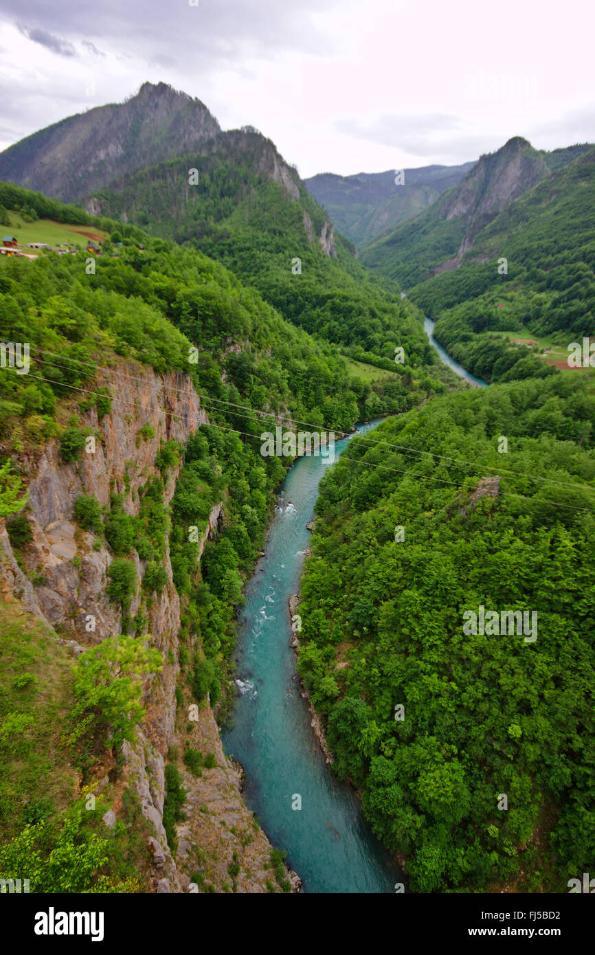 view from Tara bridge to Tara River Canyon, longest and deepest canyon in Europe, Montenegro, Durmitor National Park Stock Photo