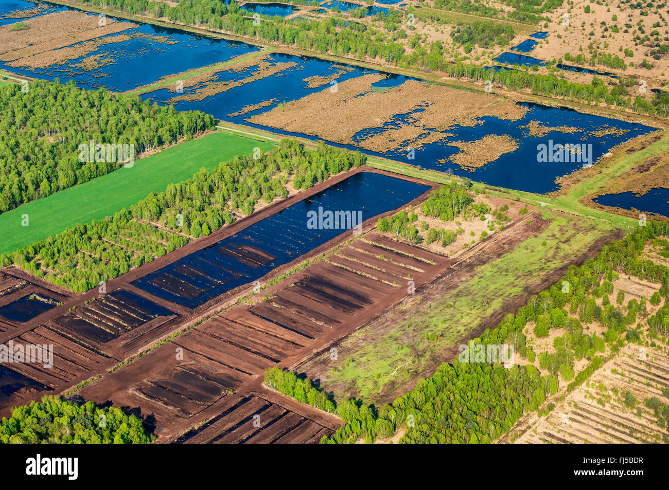 Steinfeld Moor at the county Vechta, aerial view, Germany, Lower Saxony, Oldenburger Muensterland, Steinfeld Stock Photo