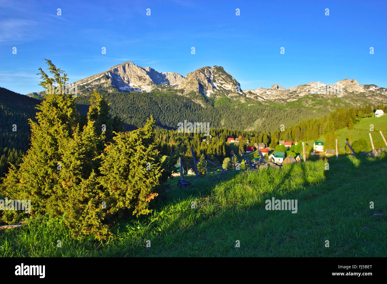 view from Zabljak to Durmitor mountain range with Savin Kuk and Meded in the morning, Montenegro, Durmitor National Park Stock Photo