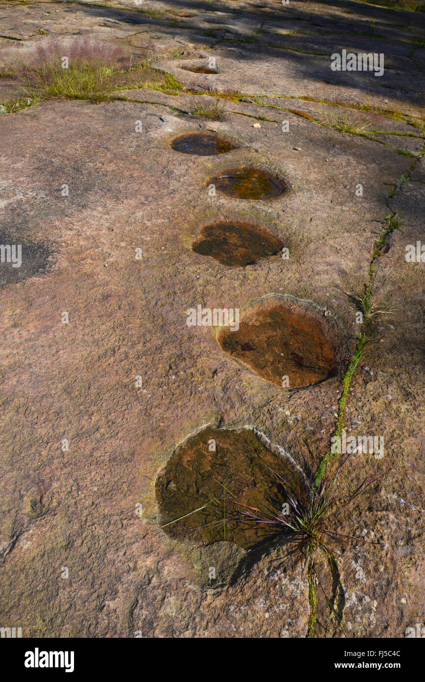 dinosaur footprints on sandstone, Germany, Lower Saxony, Obernkirchener Sandsteinbrueche, Obernkirchen Stock Photo