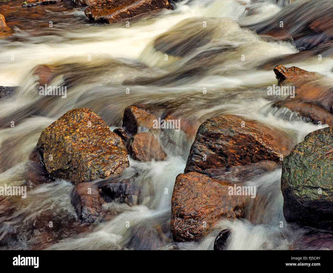 running water in rocky creek, Germany, Saxony, Erz Mountains, Schwarzwassertal Stock Photo