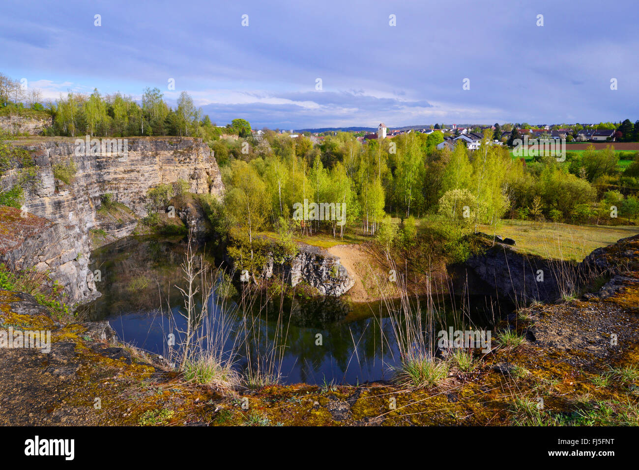 renatured limestone quarry with pond and steep faces, Germany, Baden