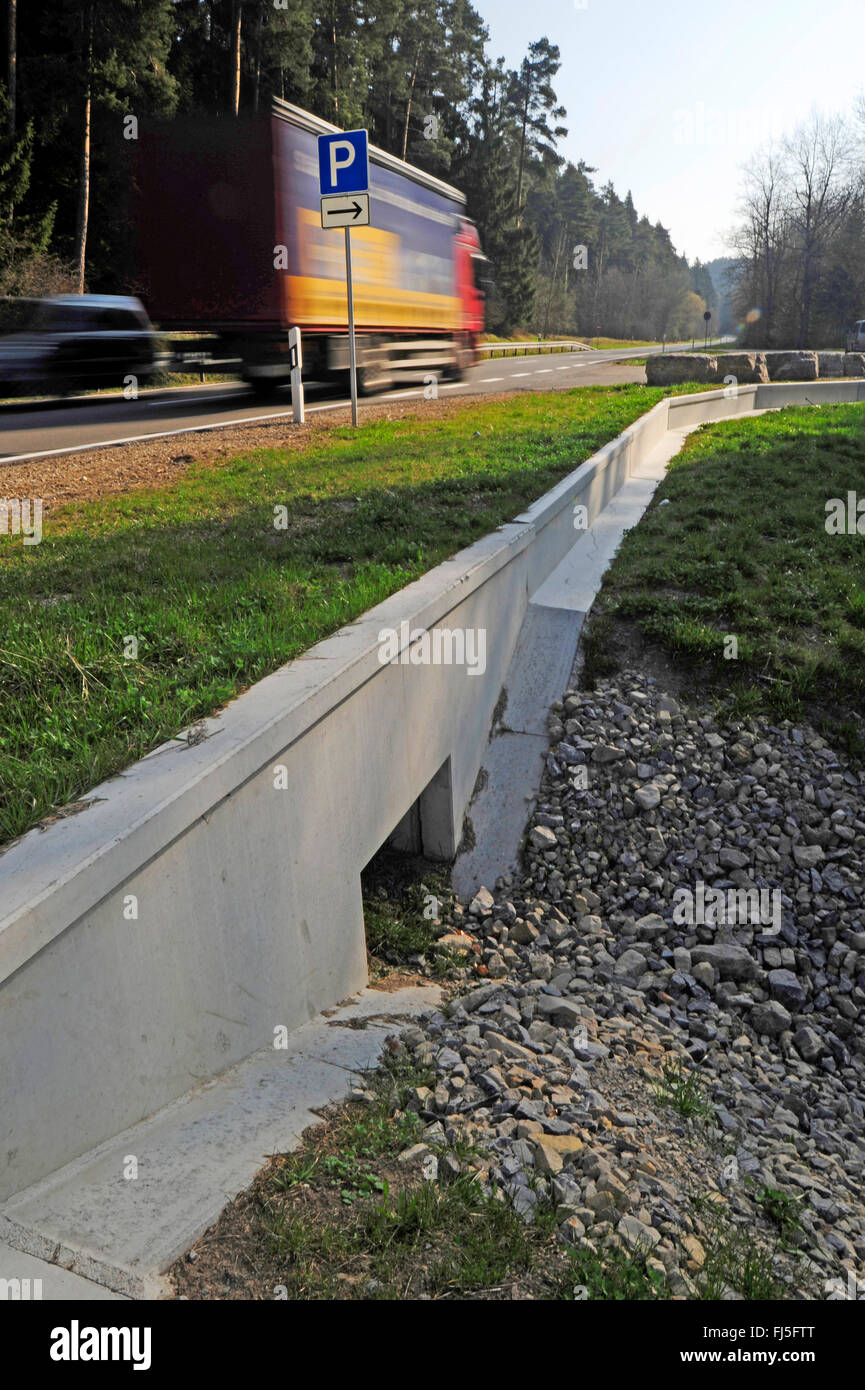 permanent amphibian fence and tunnel at a road, Germany Stock Photo