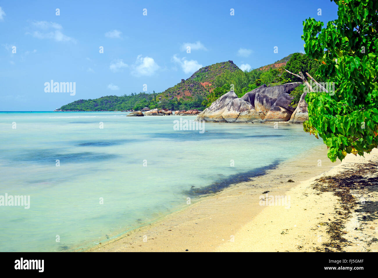 beach of Anse Takamaka, Seychelles, Praslin Stock Photo