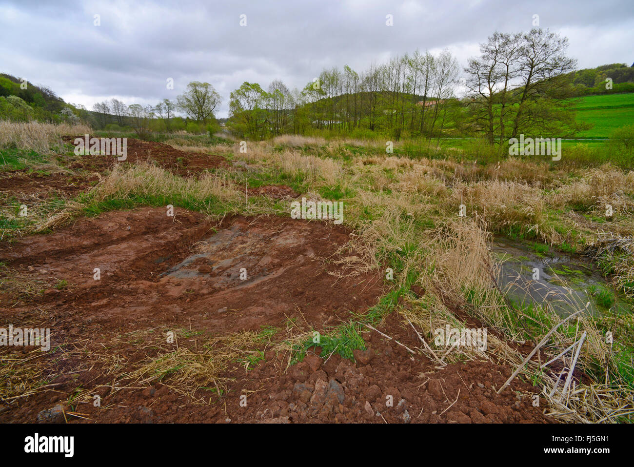 earthworks, creating amphibian ponds, Germany, Hesse Stock Photo