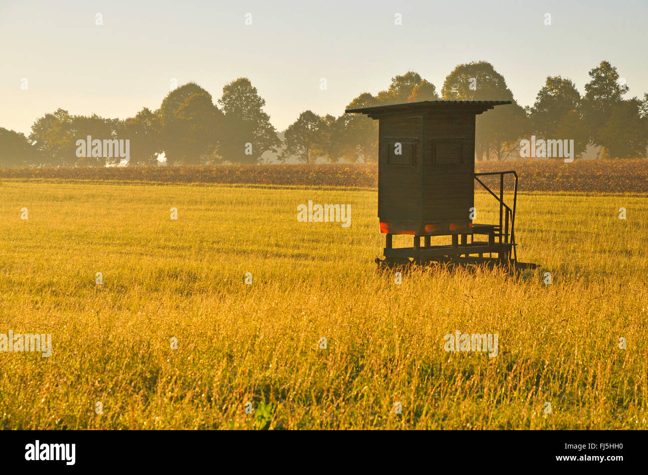 mobile raised hide in a meadow in morning light, Germany, North Rhine-Westphalia, Ruhr Area, Witten Stock Photo