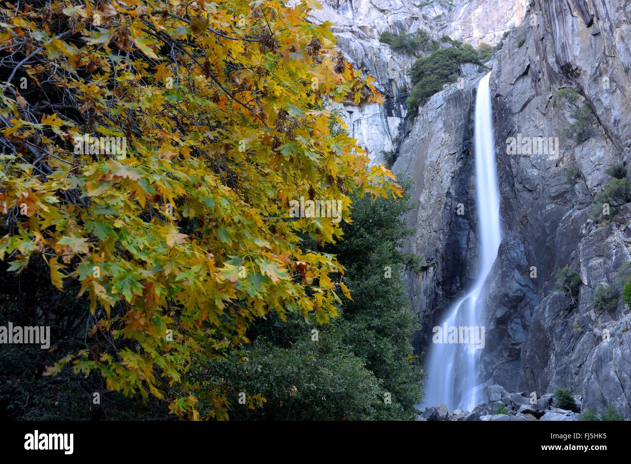 Lower Yosemite Falls, Yosemite National Park, California Stock Photo