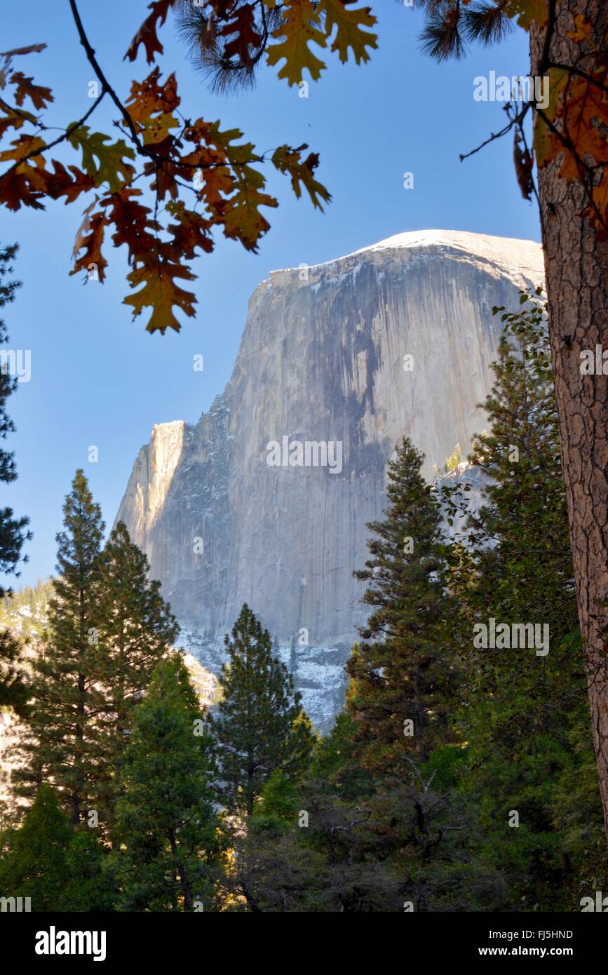 Half Dome, Yosemite National Park, California Stock Photo