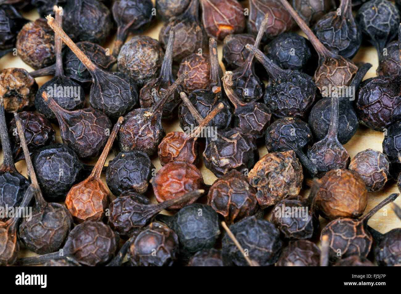 cubeb pepper, Tailed Pepper (Piper cubeba), peppercorns Stock Photo Alamy
