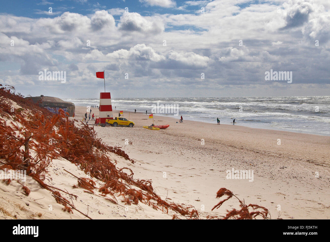 North Sea beach, Denmark, SoendervigHavide Sande Stock Photo Alamy