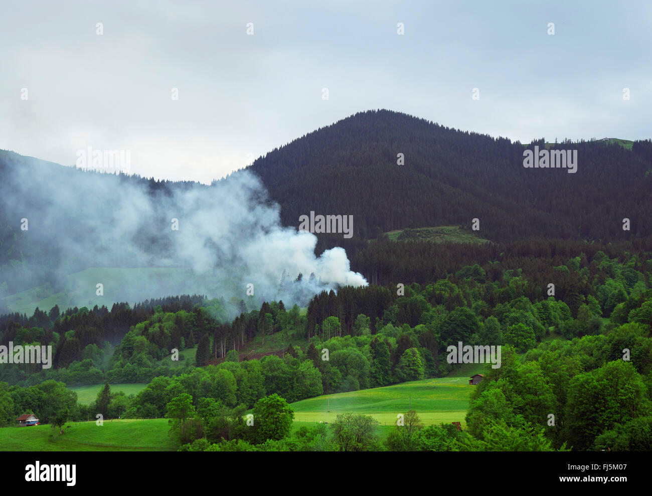 view to Hoernle mountain, forest fire with dense smoke, Germany, Bavaria, Oberbayern, Upper Bavaria, Bad Kohlgrub Stock Photo