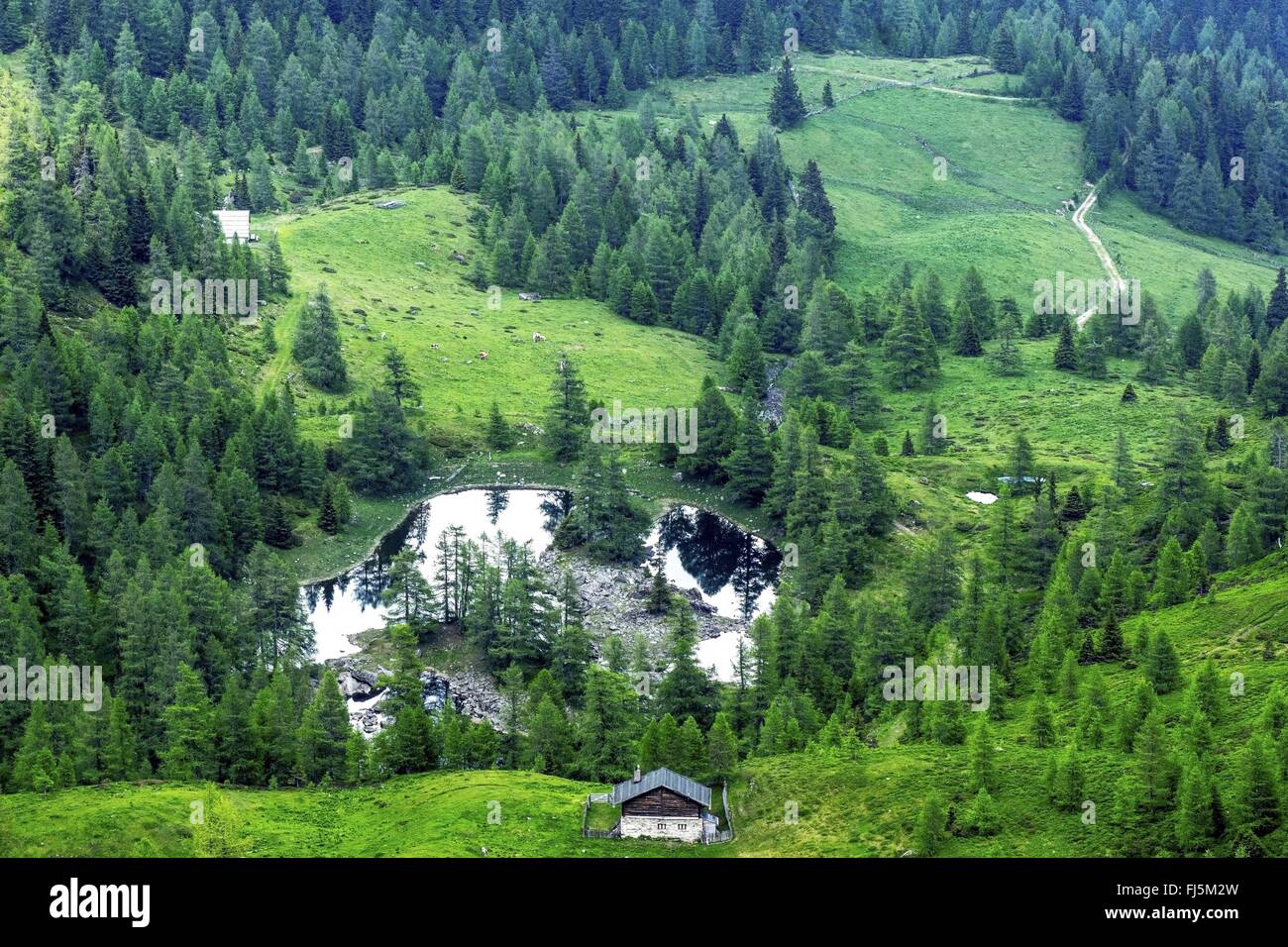 alpine meadows and small mountain lake at the Nock Mountains, Austria, Kaernten Stock Photo