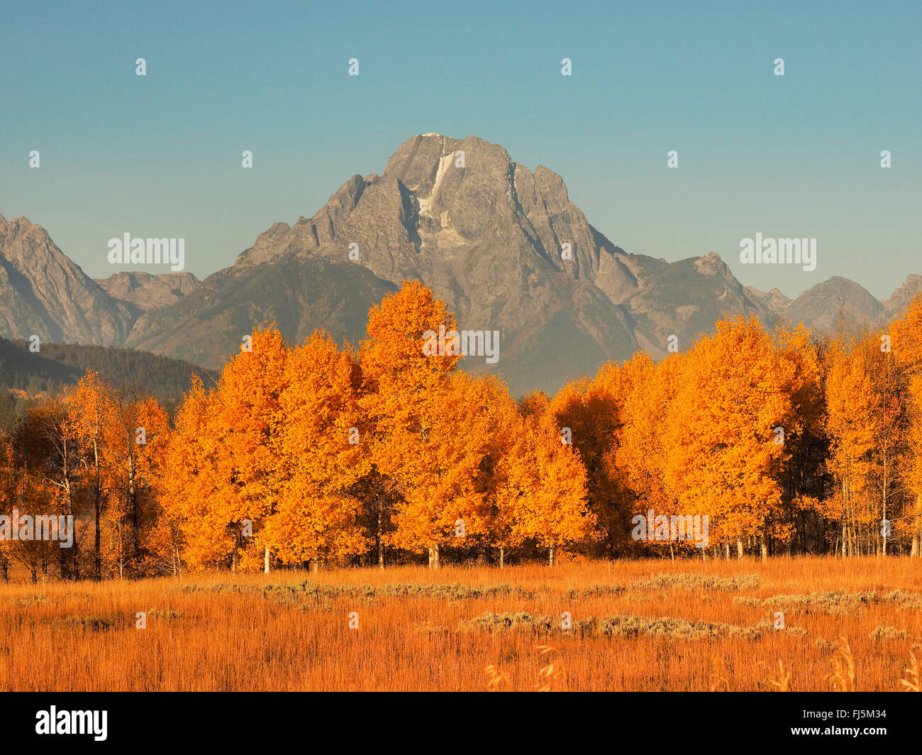 autumn mood at Oxbow Bend with Mt. Moran in the back, USA, Wyoming, Grand Teton National Park Stock Photo