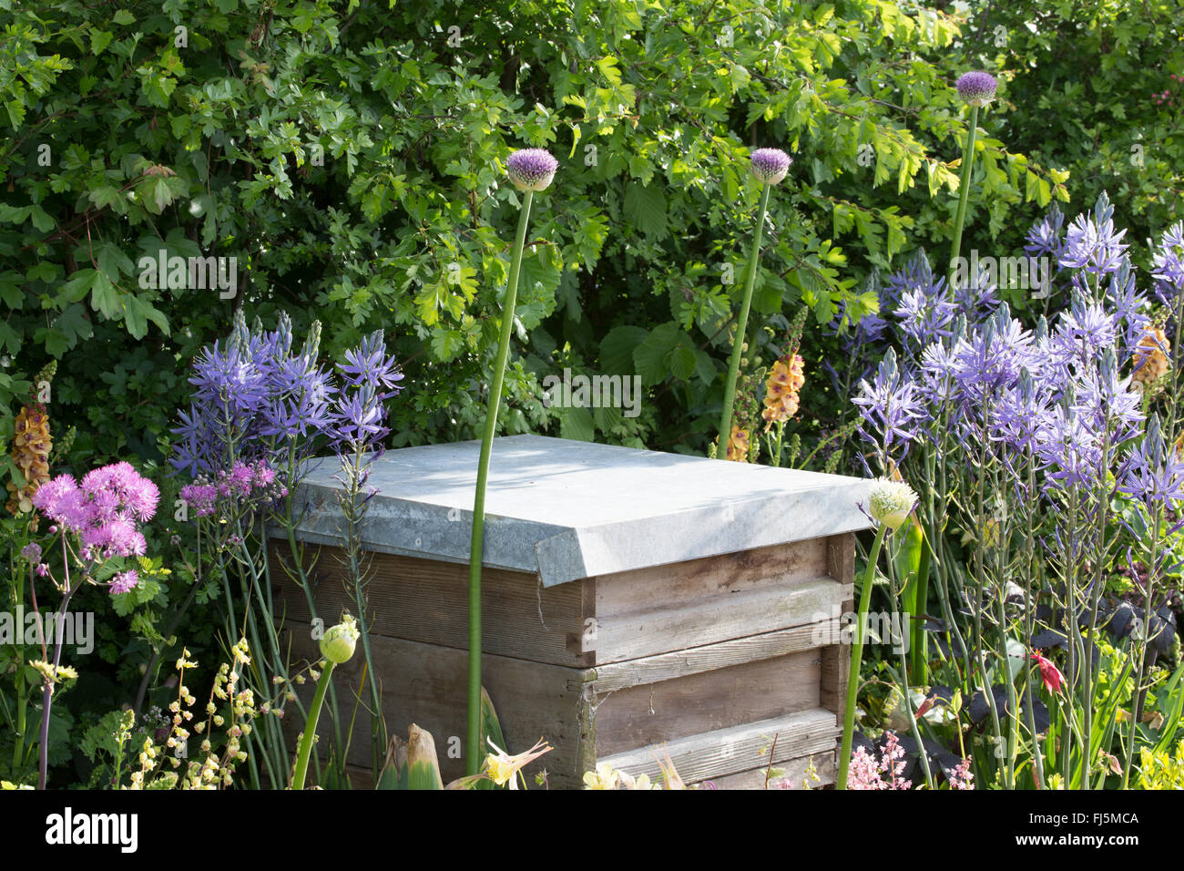 Wildlife friendly small urban garden with beehive in a flower bed for