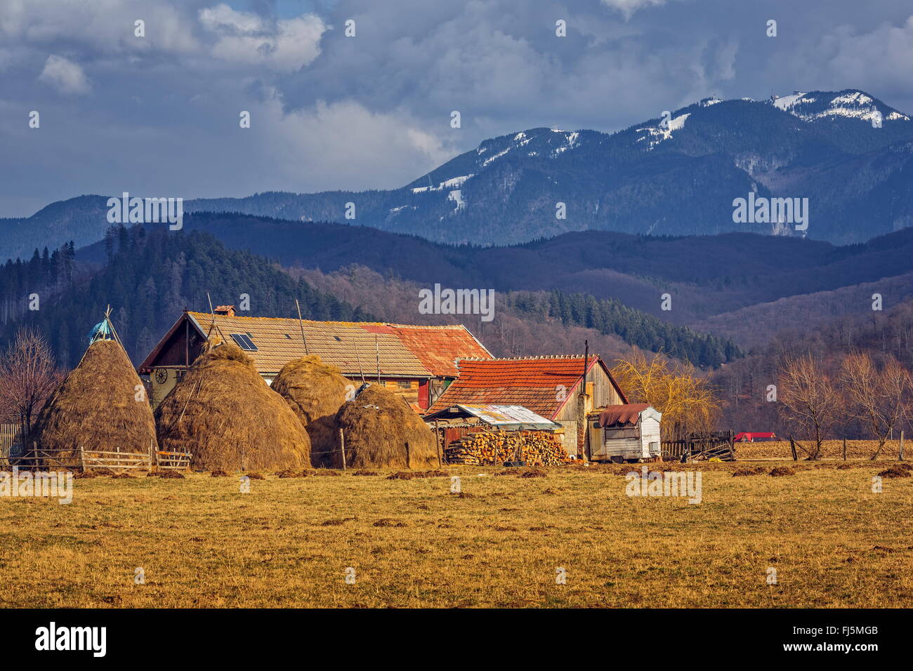 Rural Scenery With Traditional Romanian Rustic Farm With Haystacks And