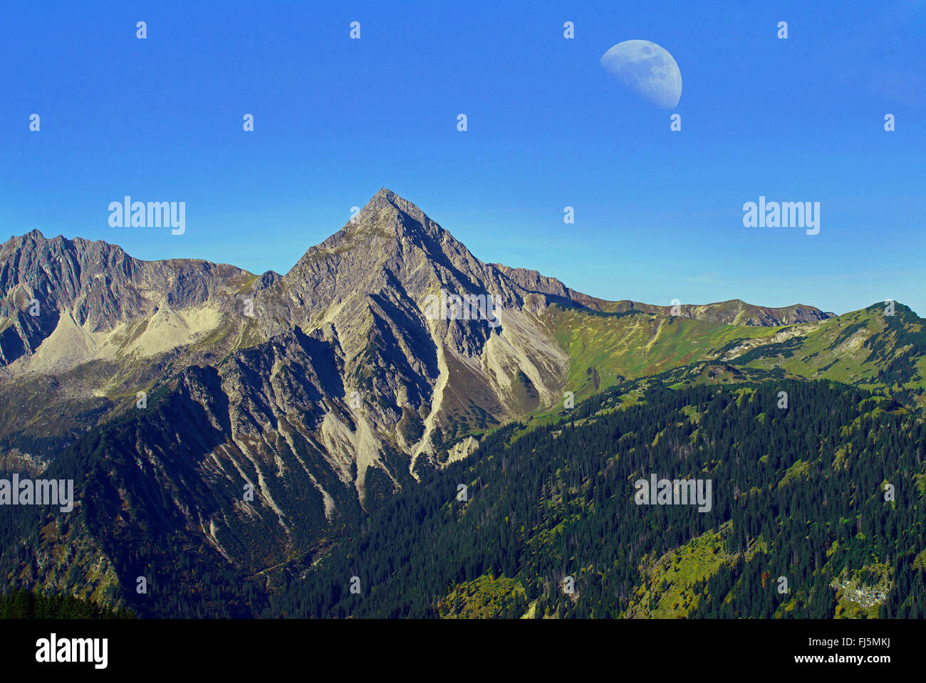 view to Gaishorn (Allgaeu Alps), Austria, Tyrol, Tannheimer Tal Stock Photo