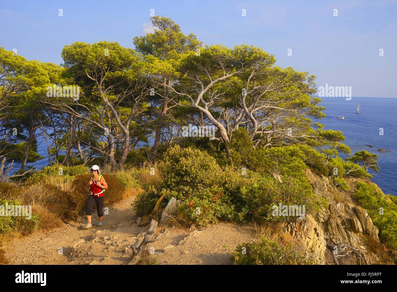 female walker walking around  the peninsula of Giens, France, Provence, Hyeres Stock Photo