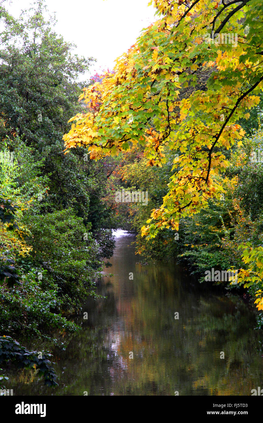 Brookside vegetation hires stock photography and images Alamy