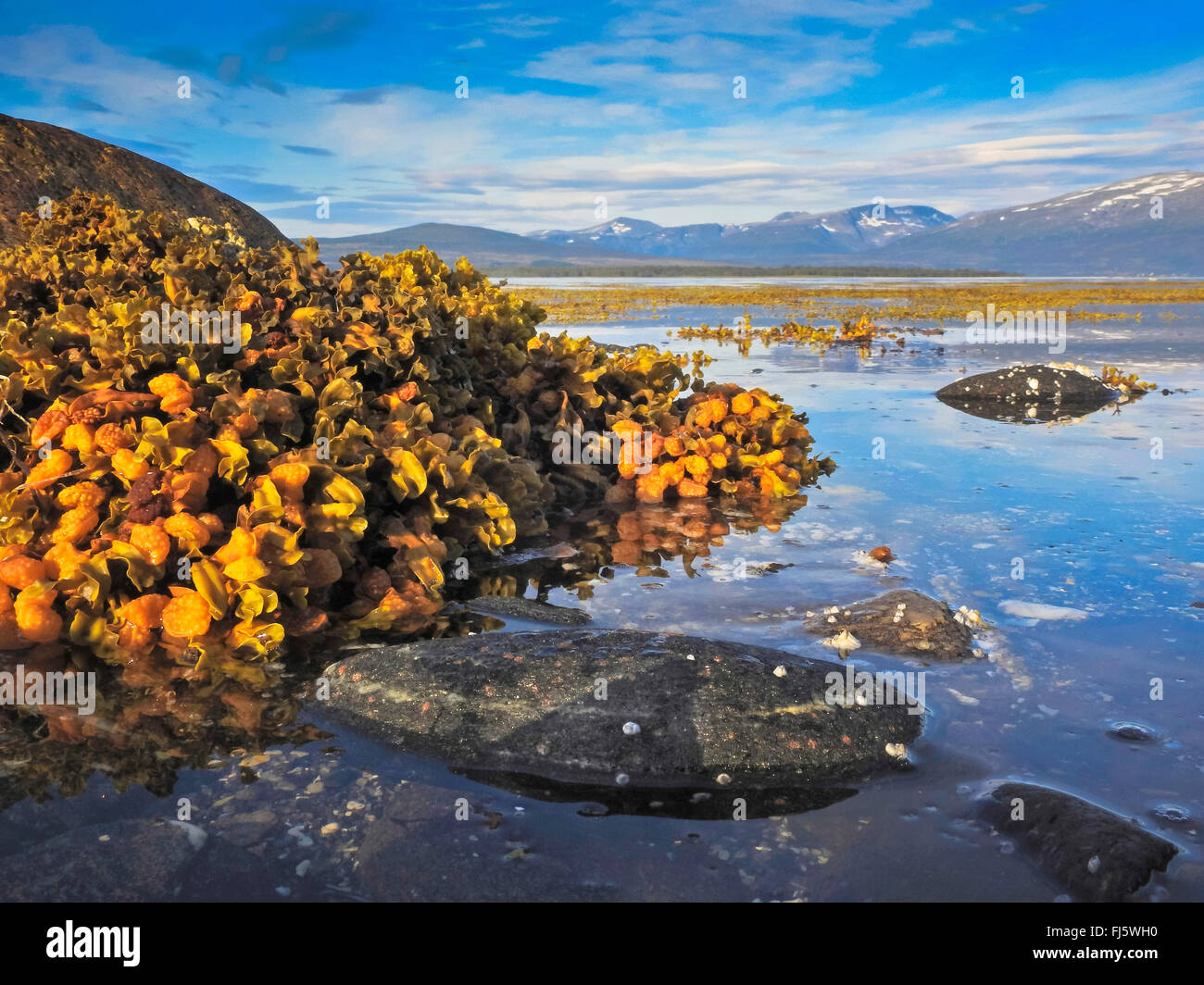 M norway hi-res stock photography and images - Page 17 - Alamy