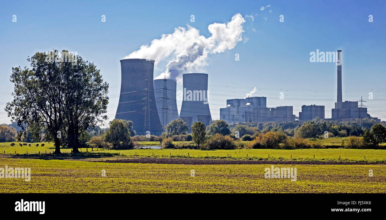coal-fired power station Westfalen, RWE Power AG, Germany, North Rhine-Westphalia, Ruhr Area, Hamm Stock Photo