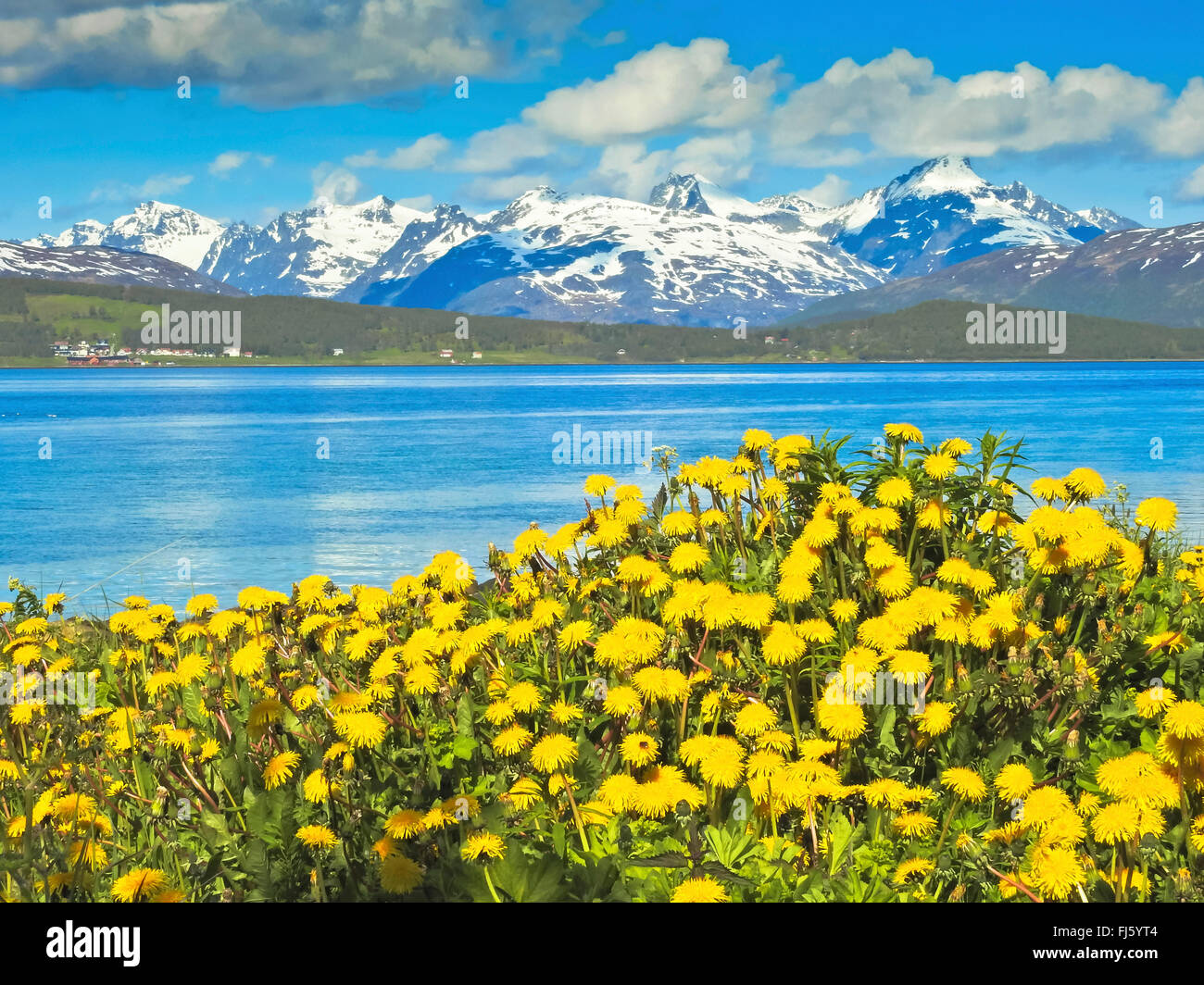 spring in northern Norway, Troms; Tromsoe; Kvaloeya; Sandnessund; Buren, 802 m, Hollendaren, 1016 m, Norway, Troms Stock Photo