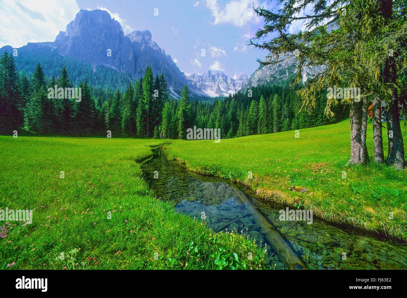 view from the Upper Campillbach Valley onto the Puetz Group, Nature Park Puetz Geisler, Italy, South Tyrol, Dolomites Stock Photo